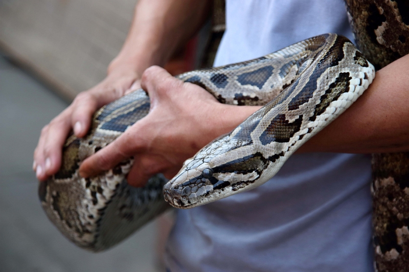 16_cai_be_fabrication artisanale_020.jpg